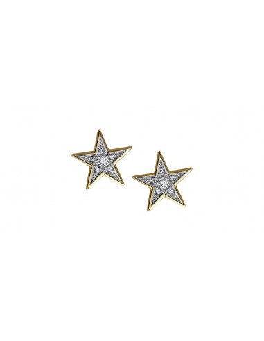 Ladies Diamond Star Studs 10KTY RD Top 20.045CT 100.075CT Paris Déstockage Promo