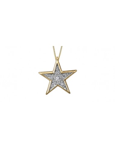 Ladies Star Diamond Pendant 10KTY RD Top 10.022CT 50.038CT s'inspire de l'anatomie humaine