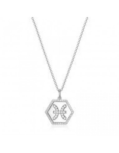 EIGN 925 Pisces Zodiac CZ Necklace Pour