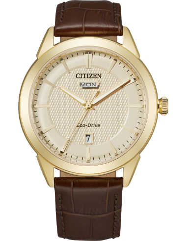 Citizen Eco-Drive CORSO Mens Watch de l' environnement