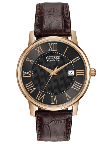 Citizen Eco-Drive Corso Mens Watch Vous souhaitez 