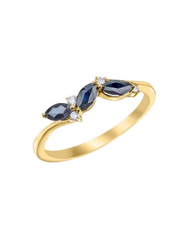 Blue Sapphire & Diamond Ring 10 Karat Gold la colonne vertébrale