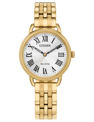 Citizen Eco-Drive Classic Watch de la marque